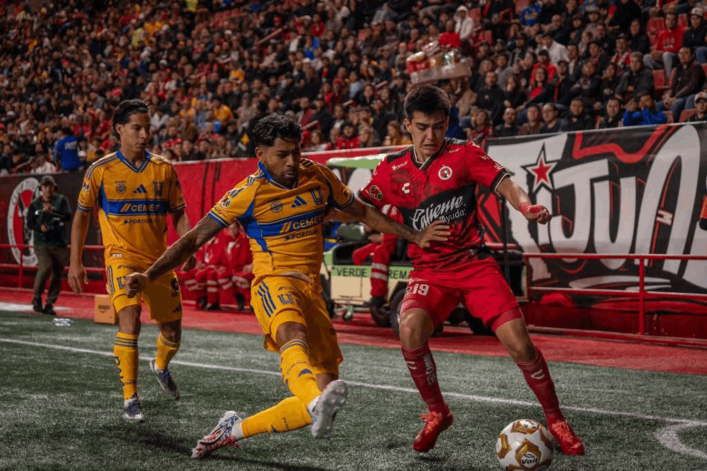 ef3bdf37-c0c0-44ff-82c7-b758bd40d410