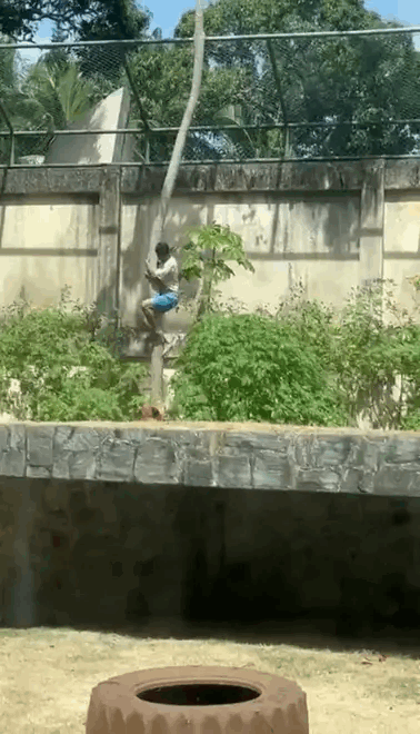 f0a987dc-6c66-488f-9cf9-2e0089912f6b