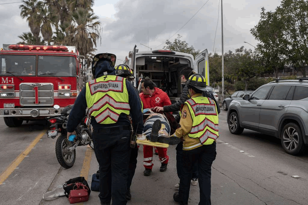 f15f936c-ea13-43b6-8817-cf446c3b671d