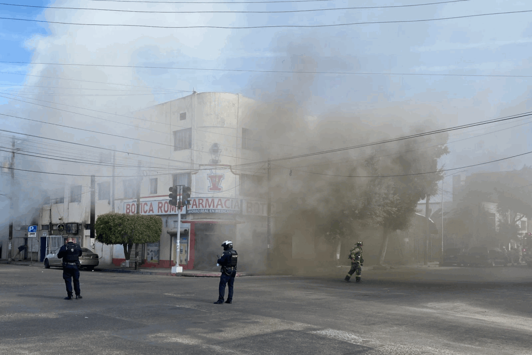 f17764a0-3e77-4a0f-80c2-859efaa5623f