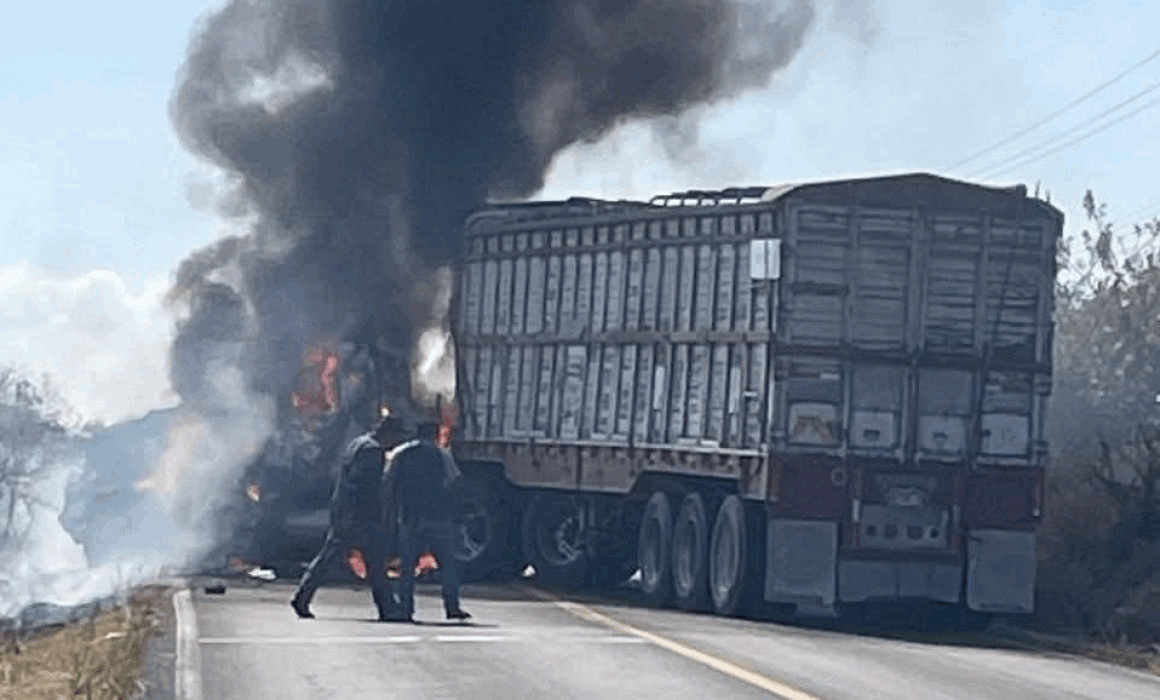 f4b6192f-547f-4480-93a7-964476bdb912