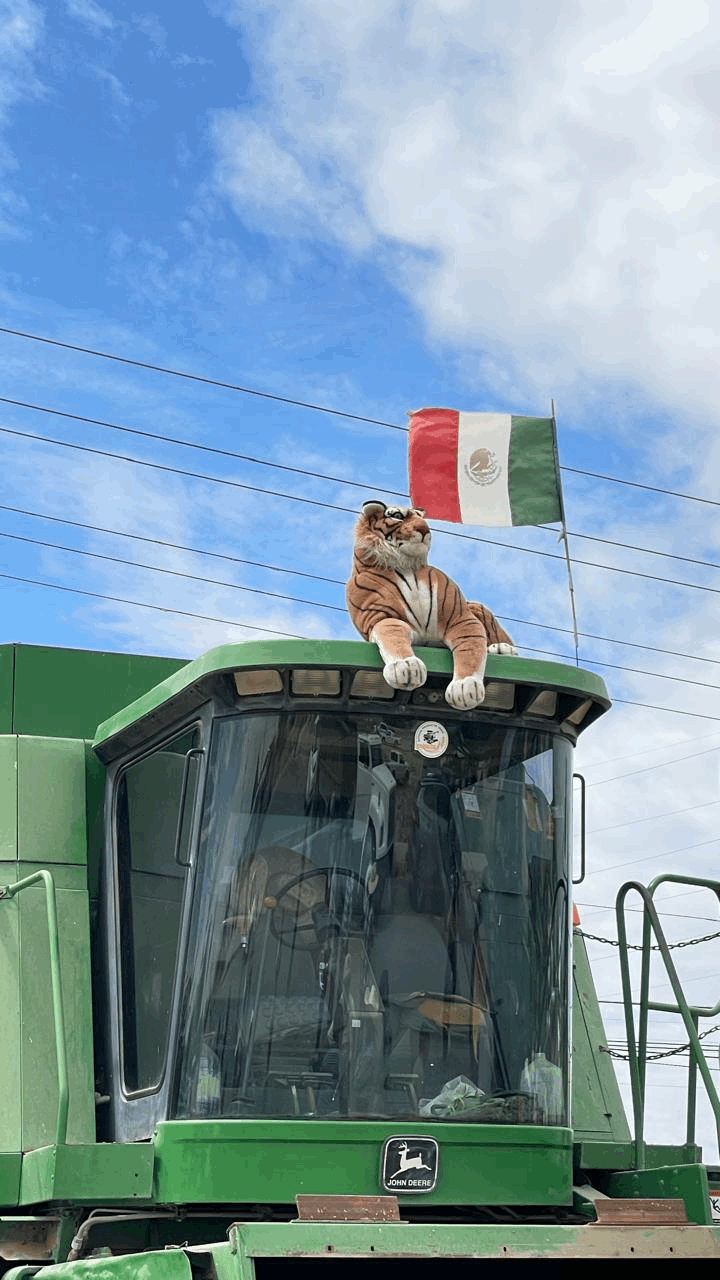 f70a6d64-7be1-4471-ad8b-705cecd1eb3c