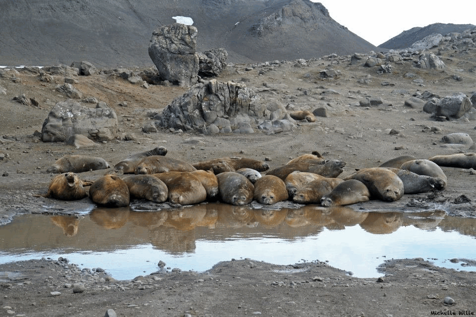 f7c41e86-0ca2-4813-b199-13d7e77bf3bf