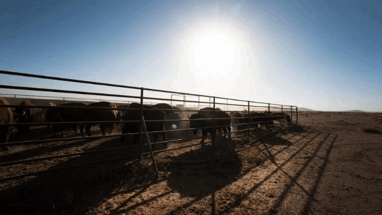 f960ee56-85b0-457b-9e7b-96274dbcad1a