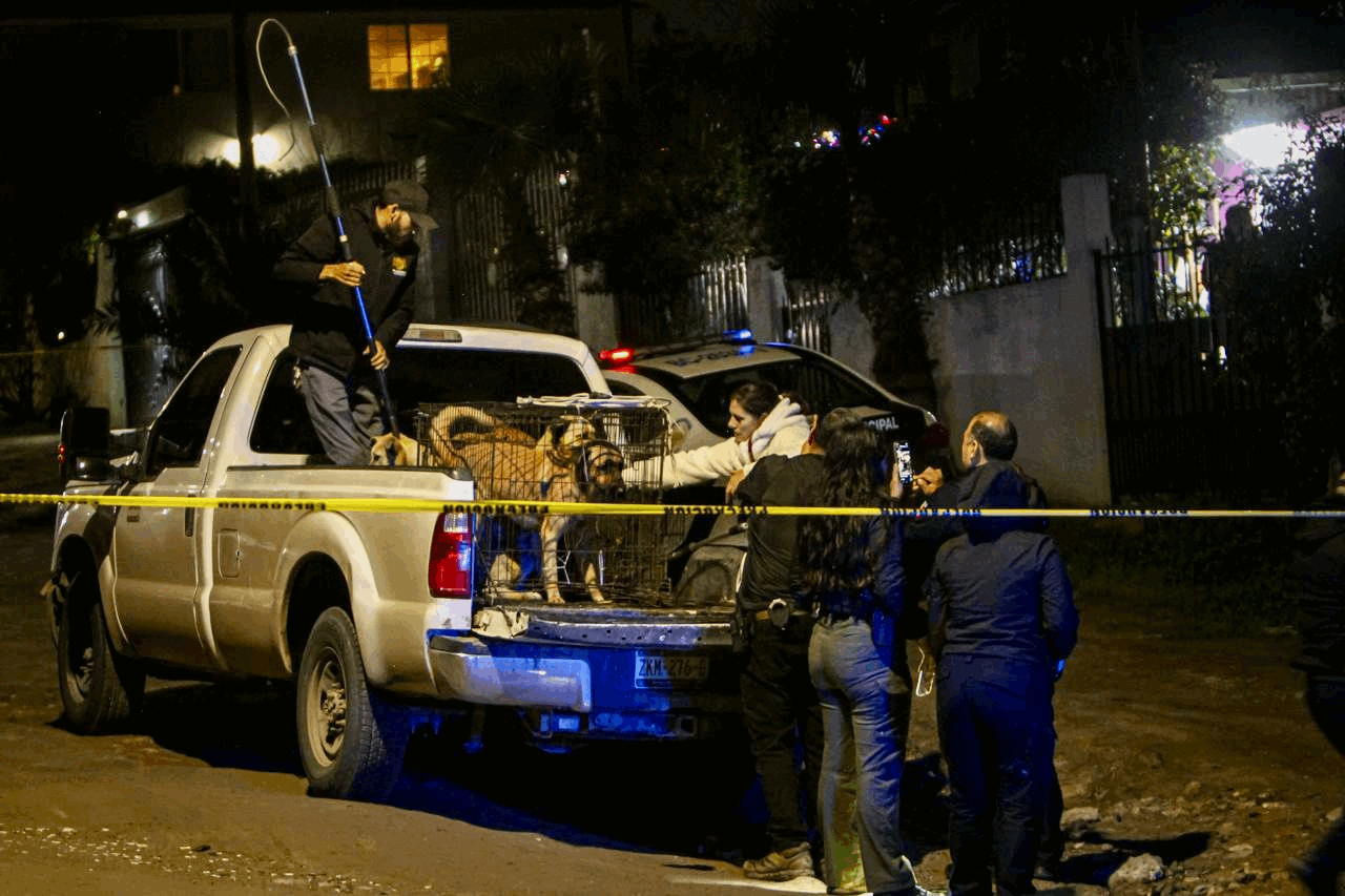 fad5f4a2-0528-4c80-a485-6568b2800296