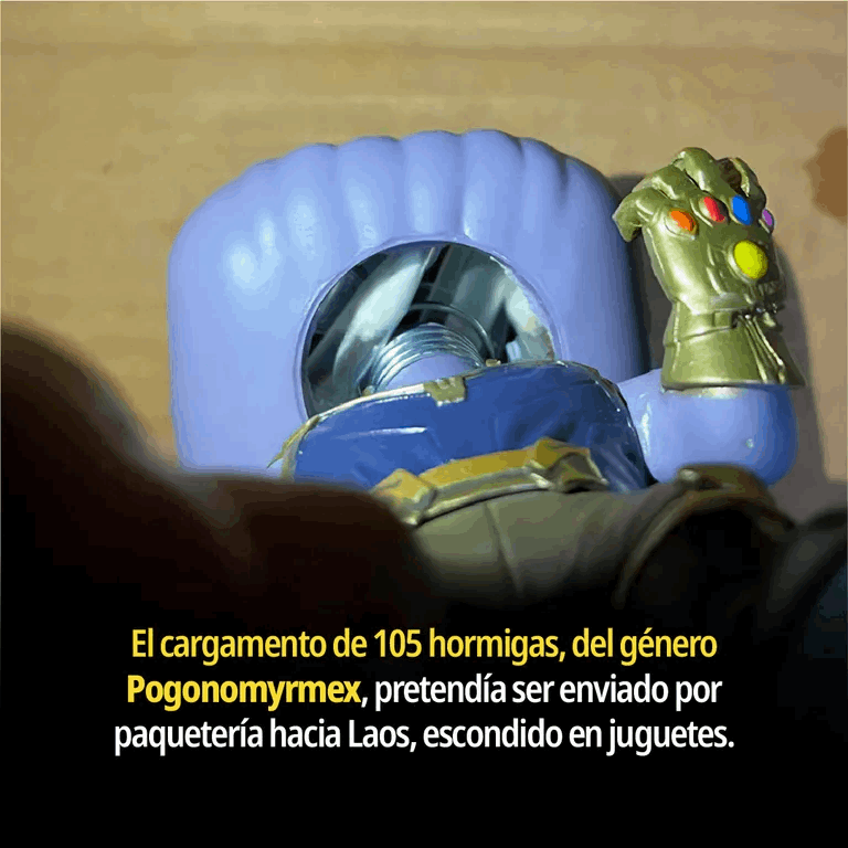 fad9a418-39ba-43e9-9f92-763196022faf