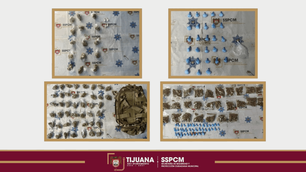 fc192d7e-dae0-45c6-a25f-1f7fd680dc4e