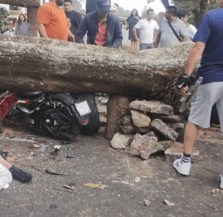 fd355ab9-3a21-4461-9eaf-675c2d673a61