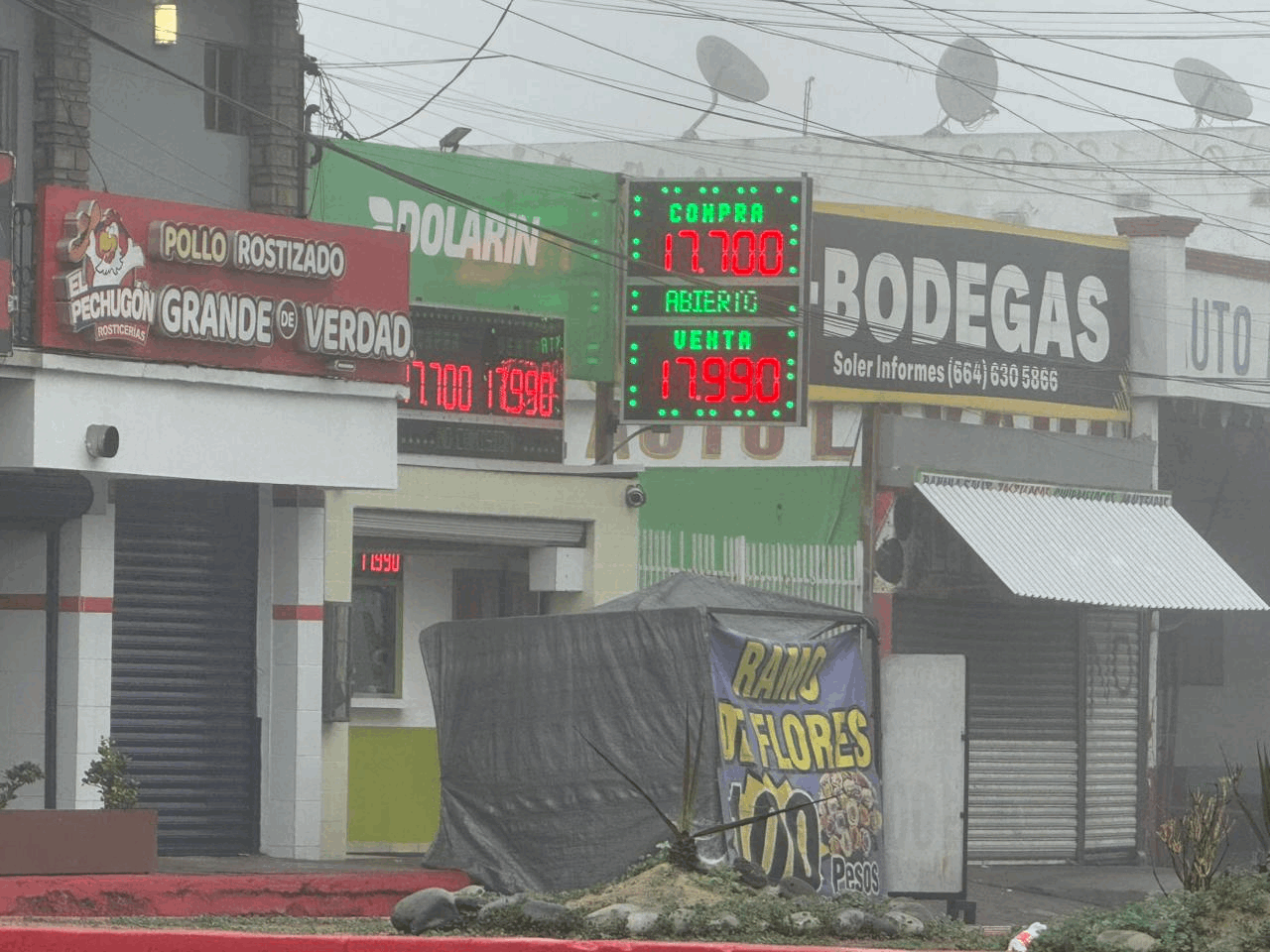 fd86c06b-d11d-4423-a5ff-1a2f3b958e2c