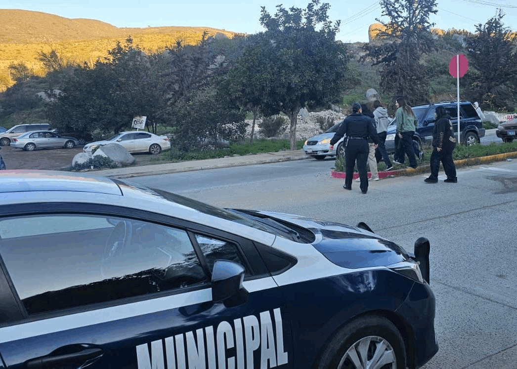 ff882cfe-68d8-4ee4-b18d-b56bcb8b8ba5