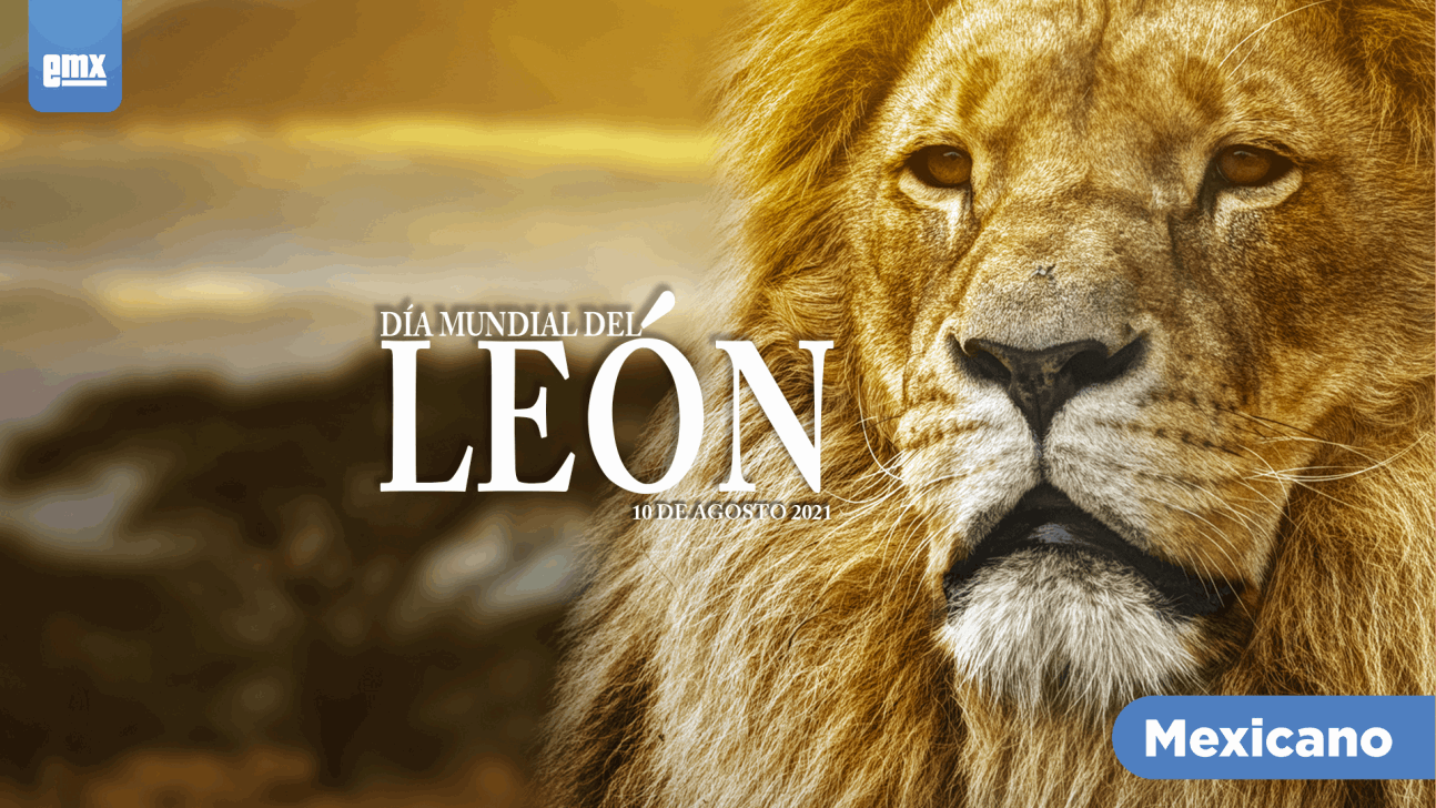 EMX-Día Mundial del León - 10 de Agosto 2021