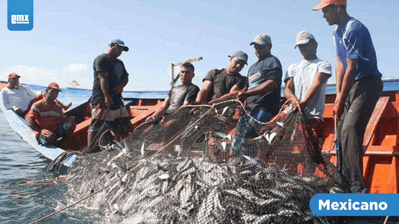 EMX- Establecen veda de pesca en el Golfo de California