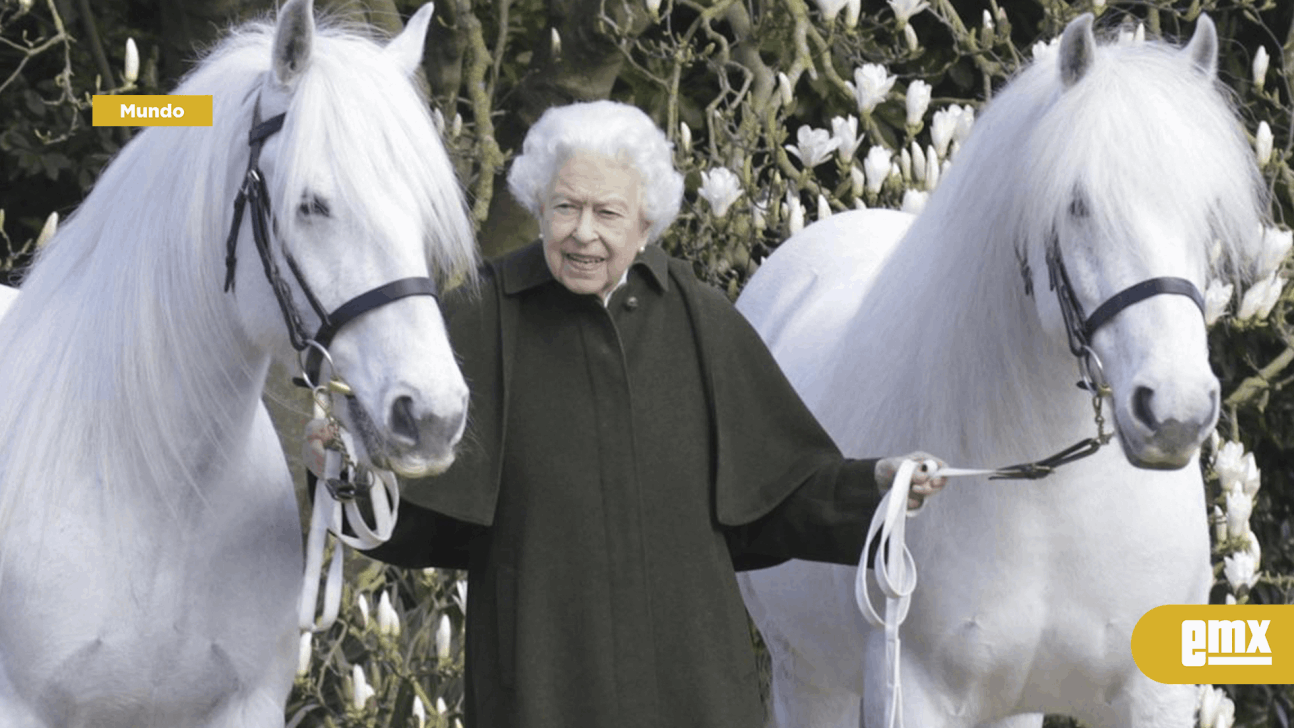 EMX-Francia le regalará un caballo a la reina Isabel II por sus 70 años de reinado