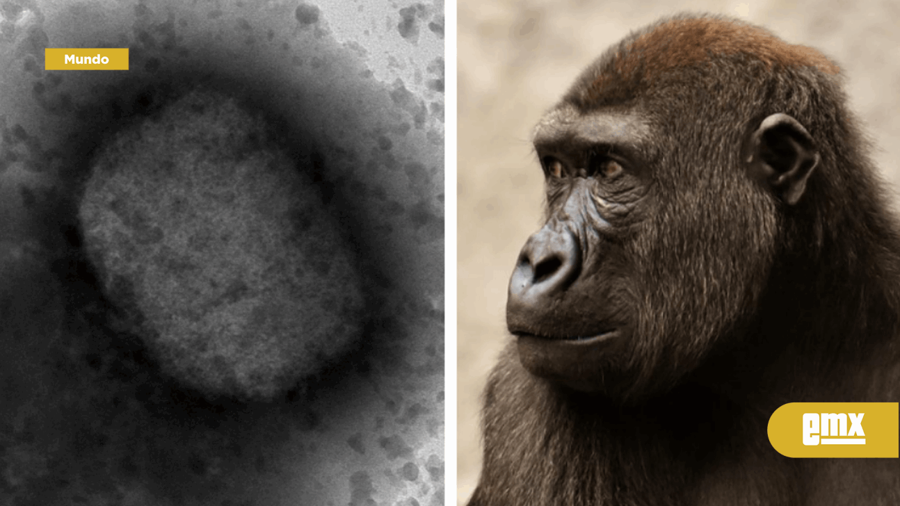 EMX-OMS decide que viruela del mono no es una emergencia sanitaria internacional