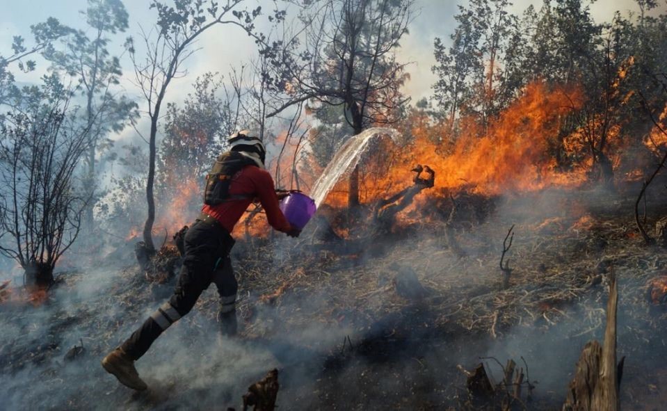 EMX-Por incendios forestales, declaran en emergencia a 5 municipios de Oaxaca