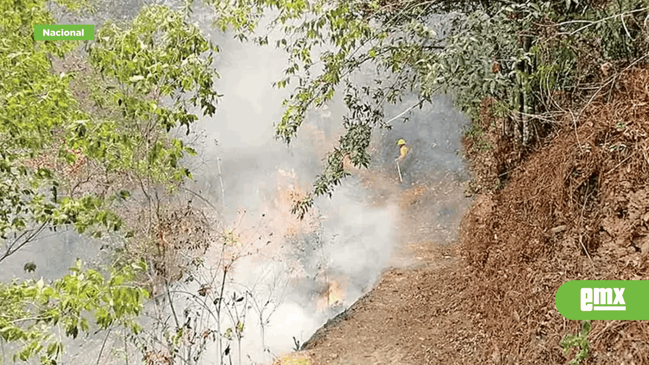 EMX-Onda-de-calor-e-incendios-ponen-a-arder-al-país;-extinguen-quema-en-Acapulco