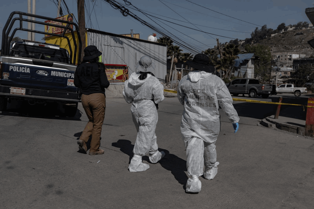 db743e74-15fa-4561-8e6b-7b96fa59a49e