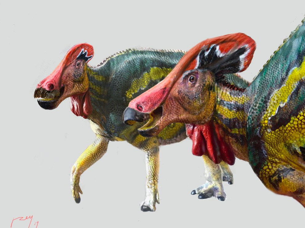 EMX-Identificaron una nueva especie de dinosaurio en Coahuila