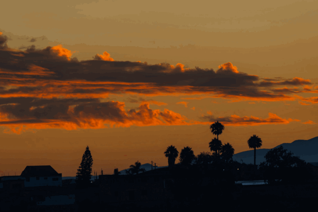 d1527c0f-b66f-499a-9d50-d832d2e69963