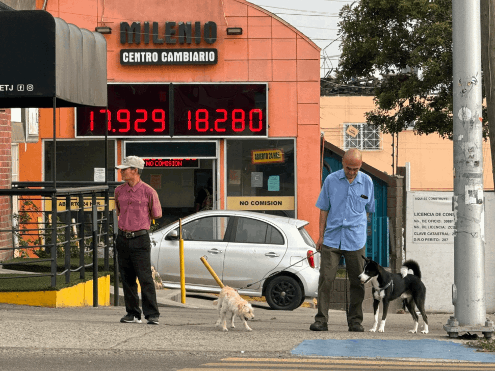 87c7d852-7fcb-4701-85f6-6feec2b029f5