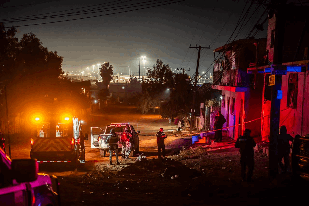 0bfff732-3355-402a-9ec8-8cf2531cf353