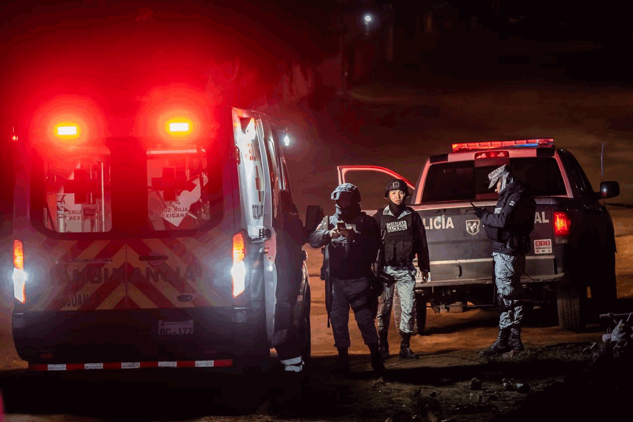 74bcdc9a-3fc2-495a-a095-5a145420e462