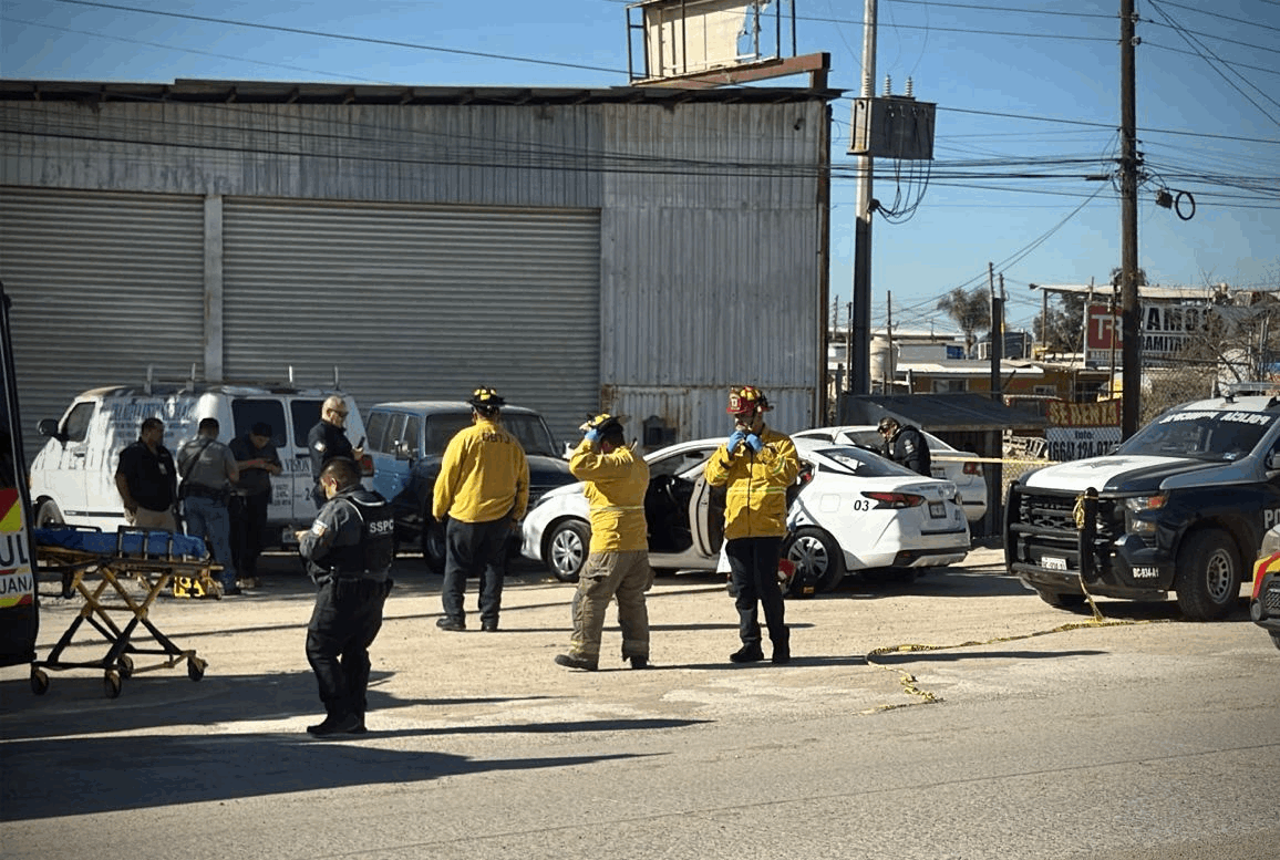 c69a7c7c-6e97-47cd-9398-43009bc30ffa