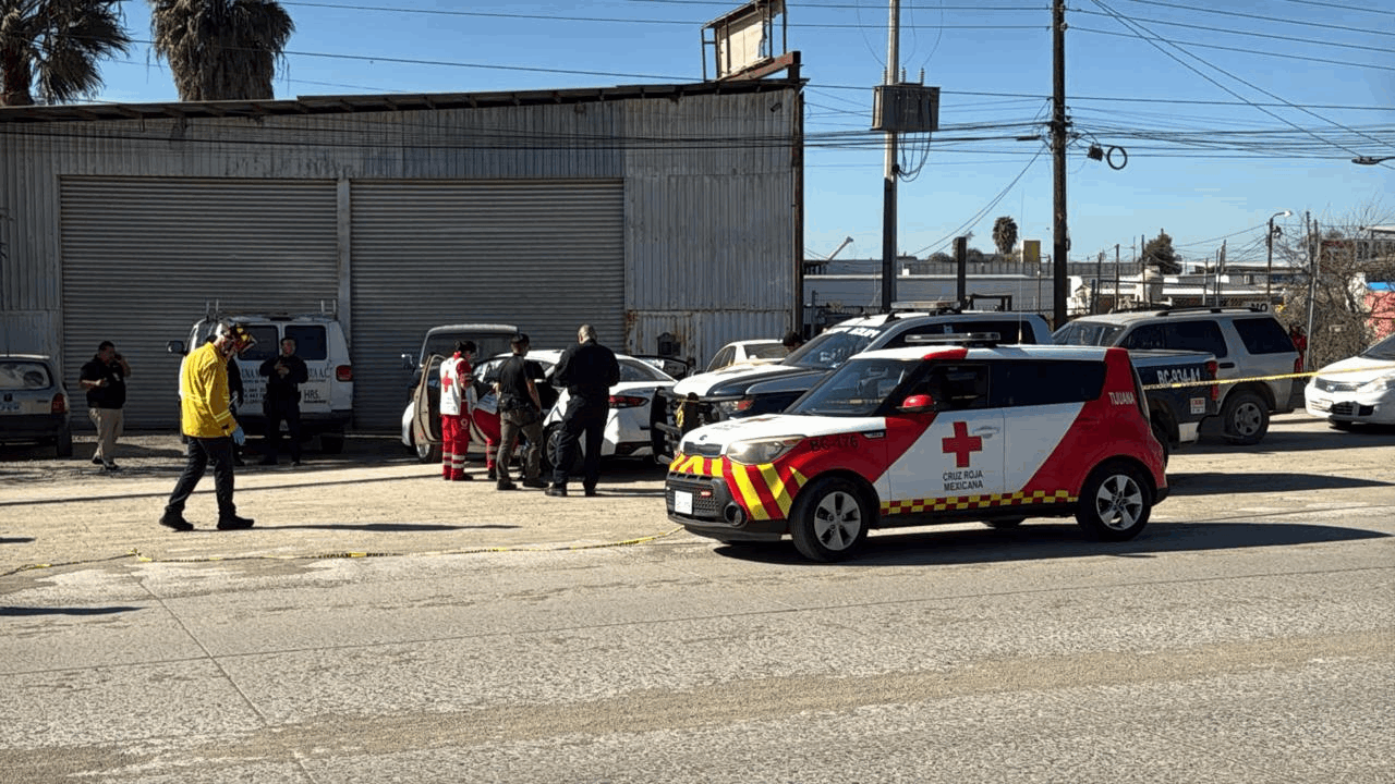 d7a9dd43-fac5-4e5e-b008-f0d4722a520c