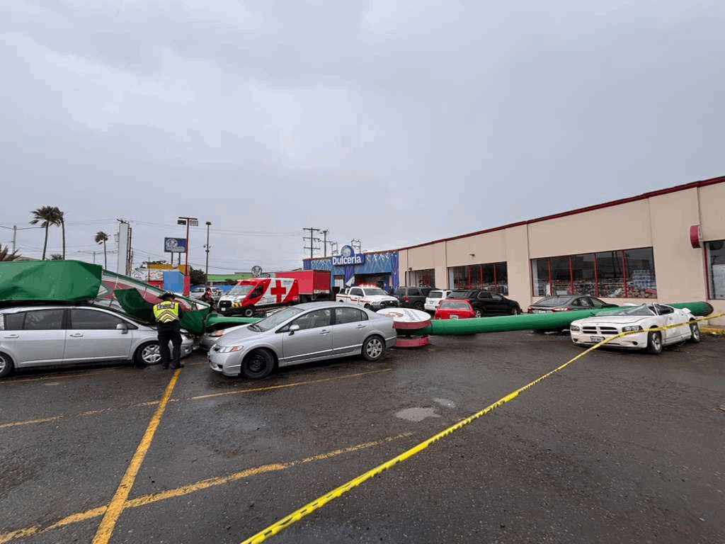 591d8087-6265-4d5a-8d14-7f90e932ad46