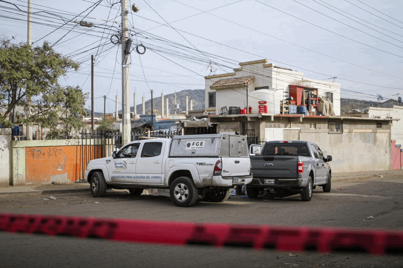 24f77b27-7705-45ea-91ca-e0583210ddda