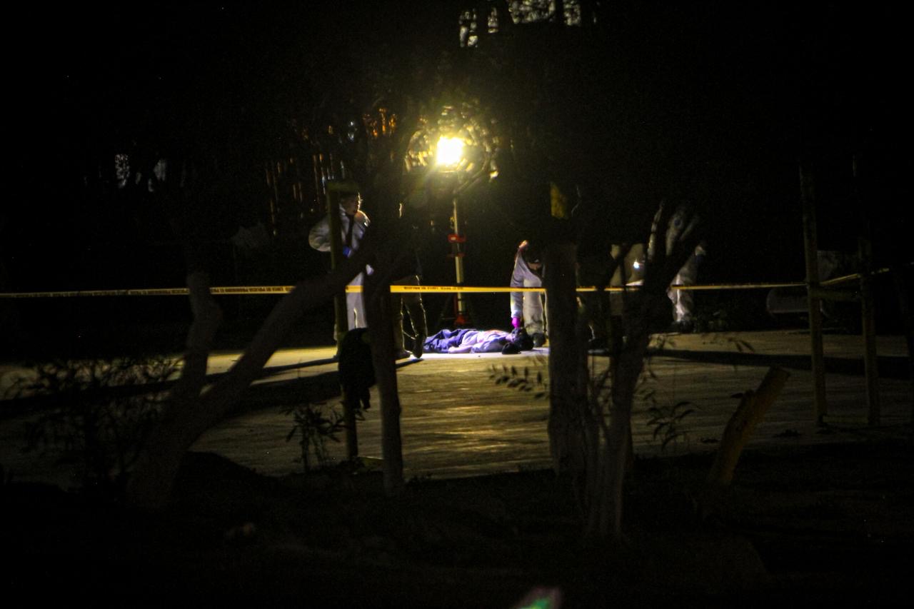 01b304fd-99a2-4599-bbd6-21c110cd31c2