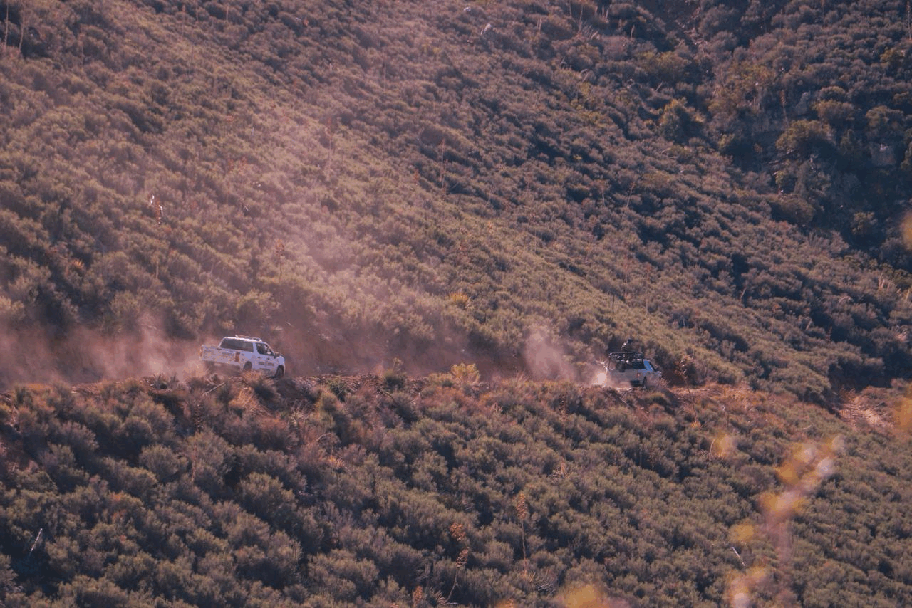 371e856b-00fd-495e-ab6b-54febfc29473