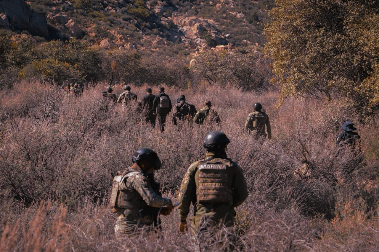 d749aa4a-43d3-4188-b3cc-d6818118921d