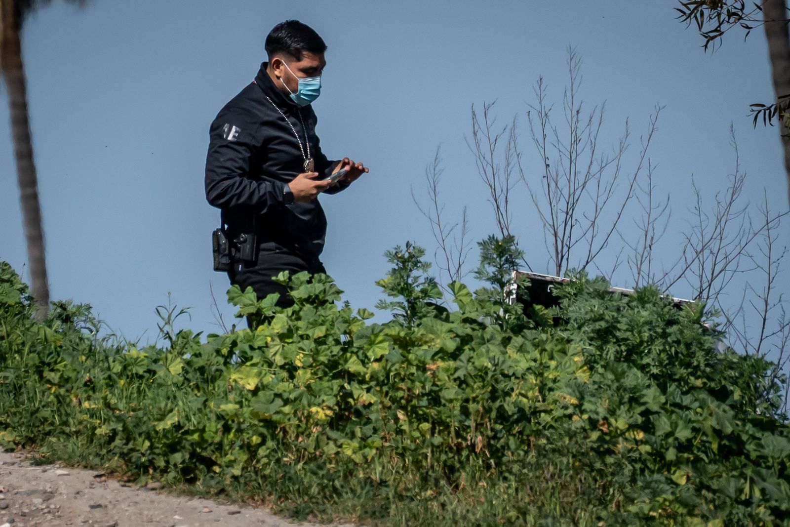 46a7a586-973e-4c6c-9590-0fc26e197014