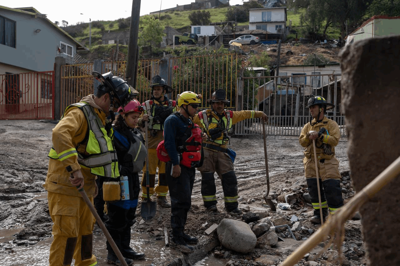 c2ea02e3-0572-4de3-a1b3-ab3d41439b45