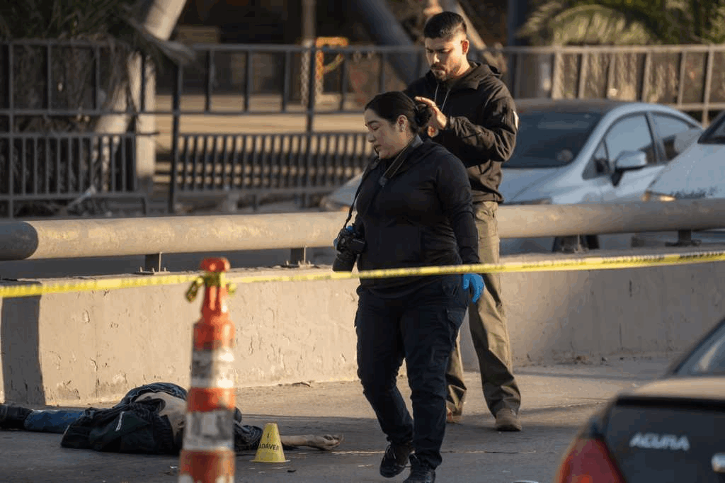 b37c3a5f-6c64-476c-bea3-63c4ec2d6e09