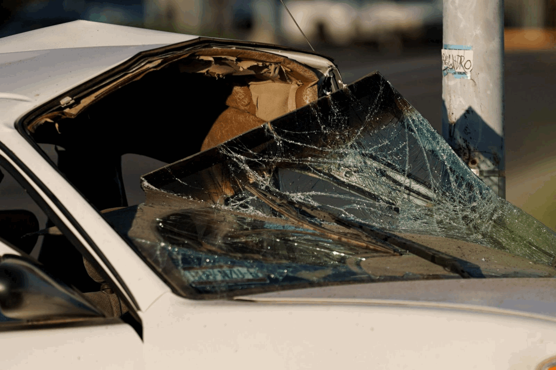 d877e36e-1bb7-4b7d-b386-2373f006e226