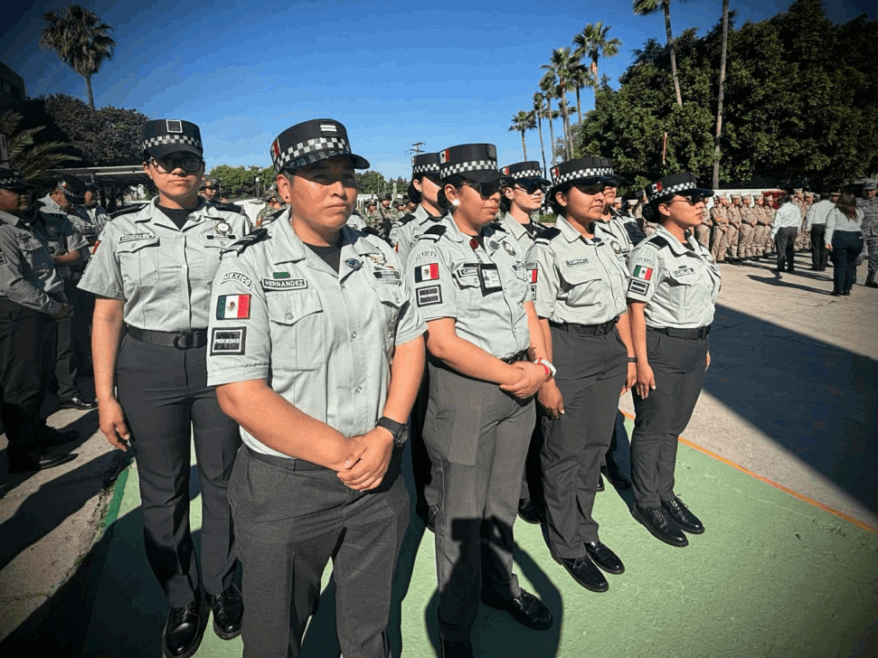 c6883712-91dd-4801-bf33-ba53d65abdfa