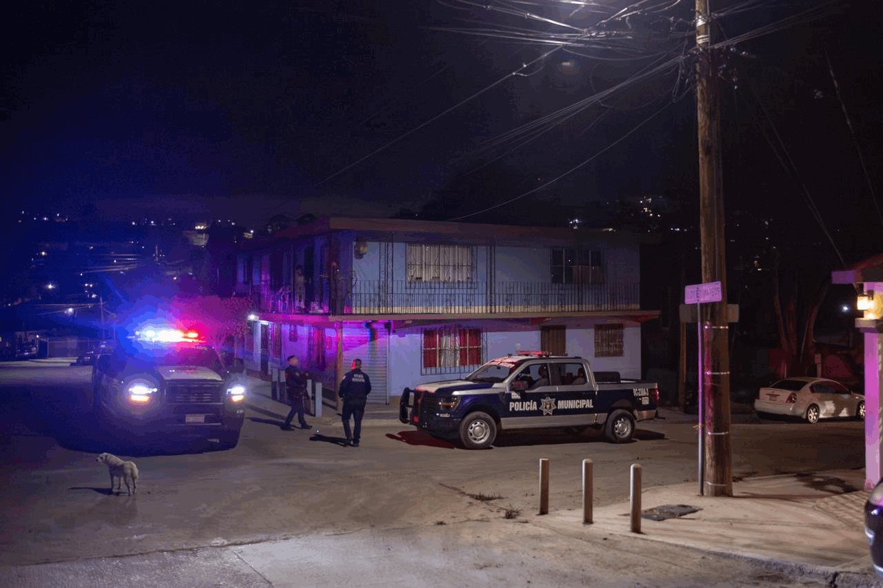 5bb8f6c3-511d-4ab4-b3bd-e213e8786c42