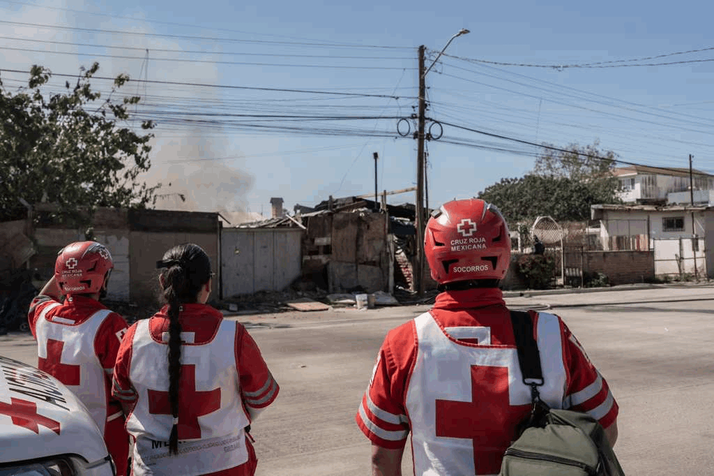 0c1bb5fa-61df-4fcb-b793-603a52773fb4