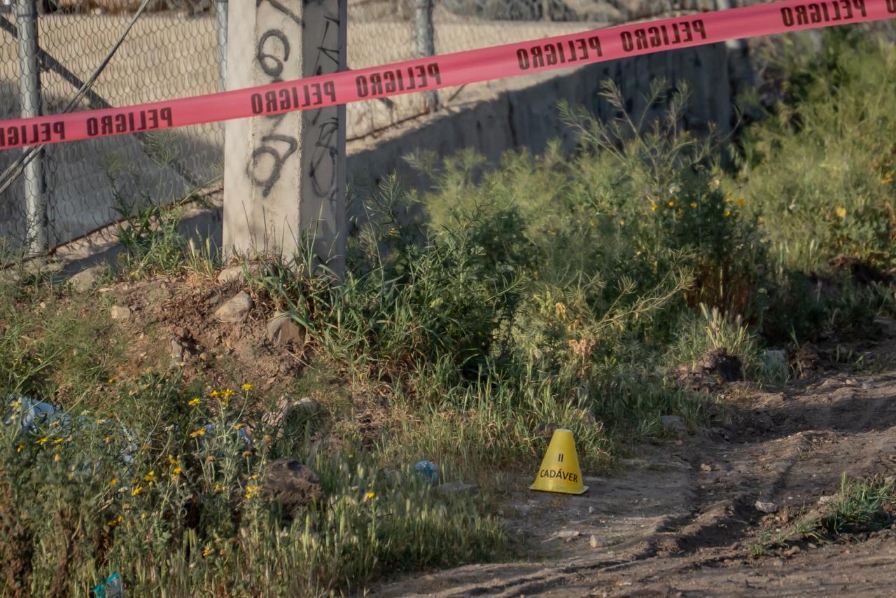 5684da3d-5db6-4b41-aacb-3728652db26d