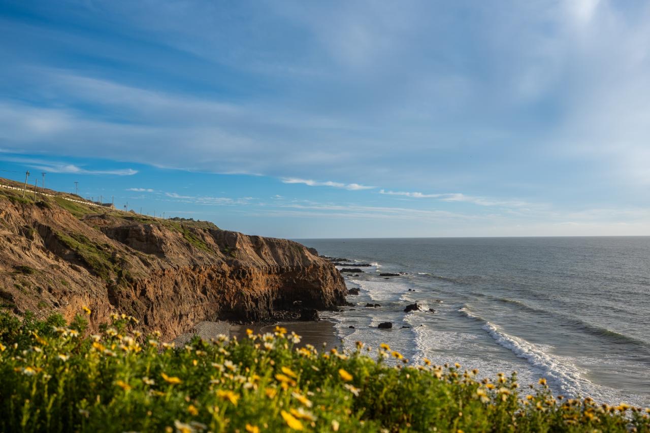 a05bc1e6-ddde-4483-9a70-9e494e5f1103