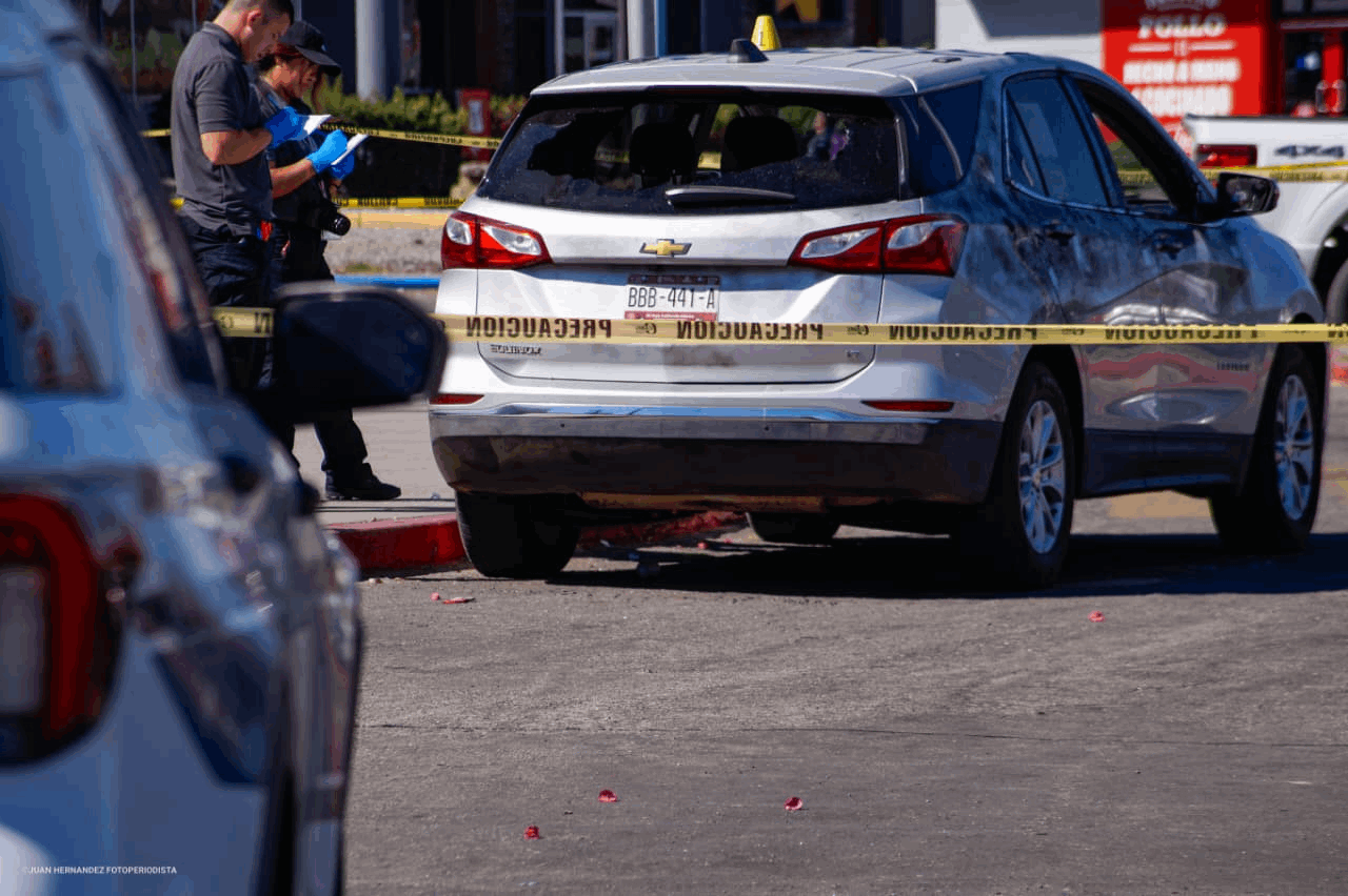 86be3e54-71b4-4ddc-83d7-c4431e004b4c