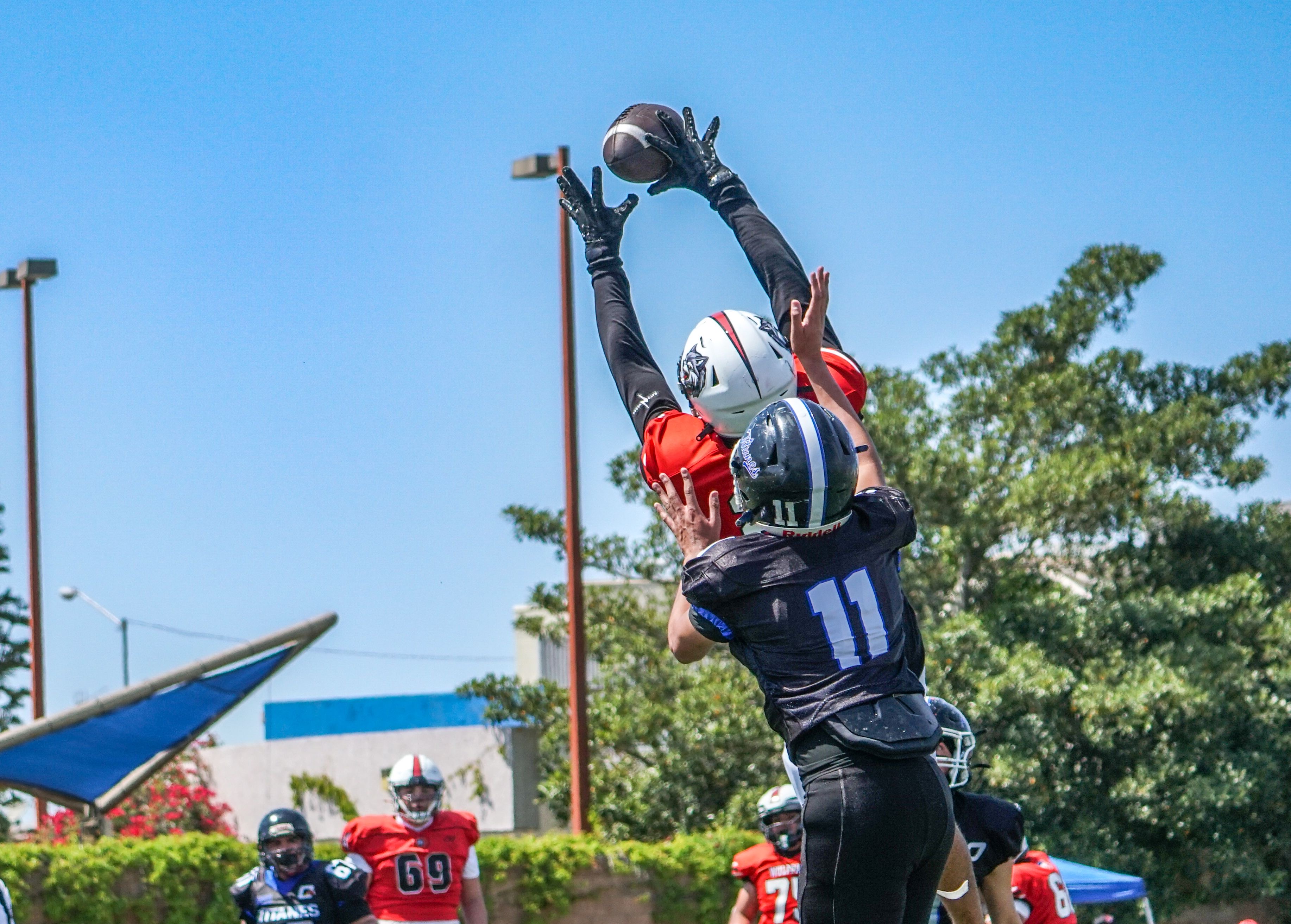 84258ae3-5376-4e85-abf3-8ecc95d6f5c9