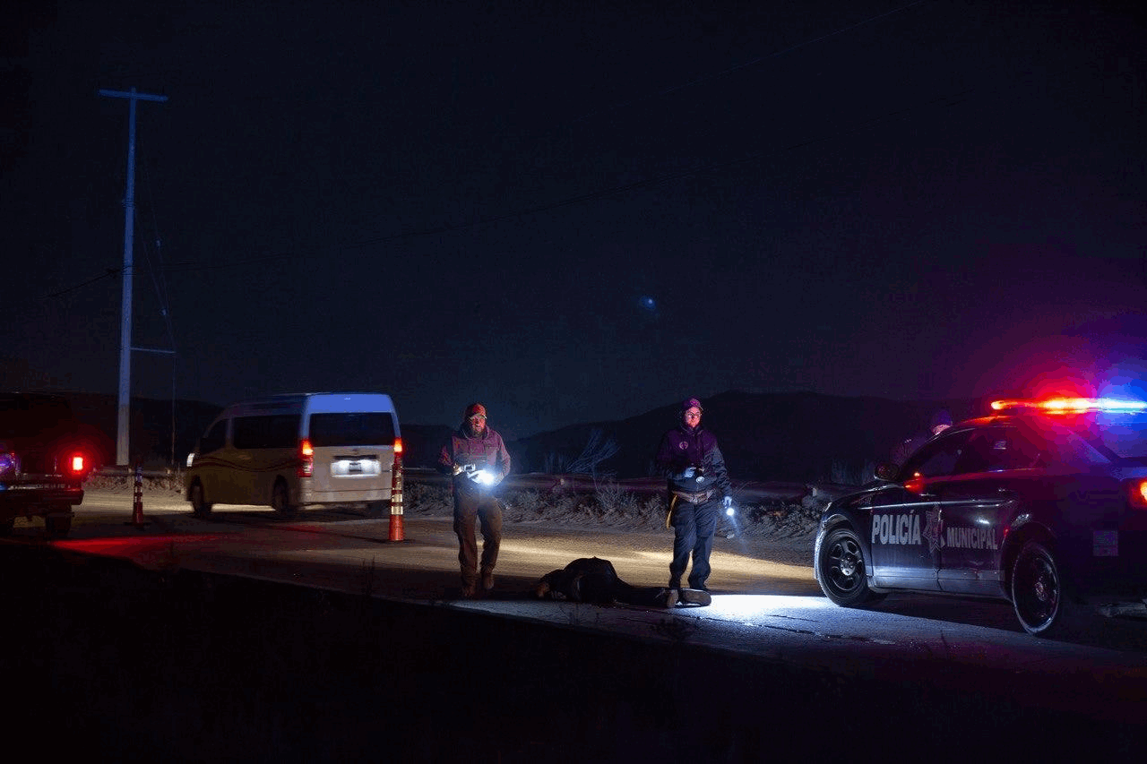 7028944a-d355-4a57-a8fc-1fe5236f0a41